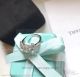 AAA Replica Tiffany Bow Ribbon Engagement Ring In Platinum (5)_th.jpg